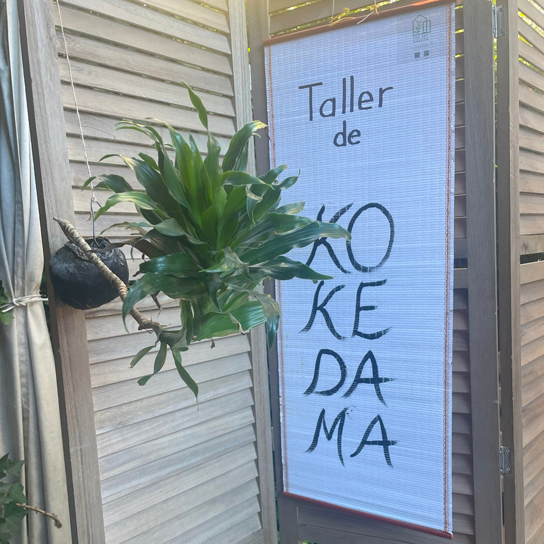 Experiencia Taller Kokedamas